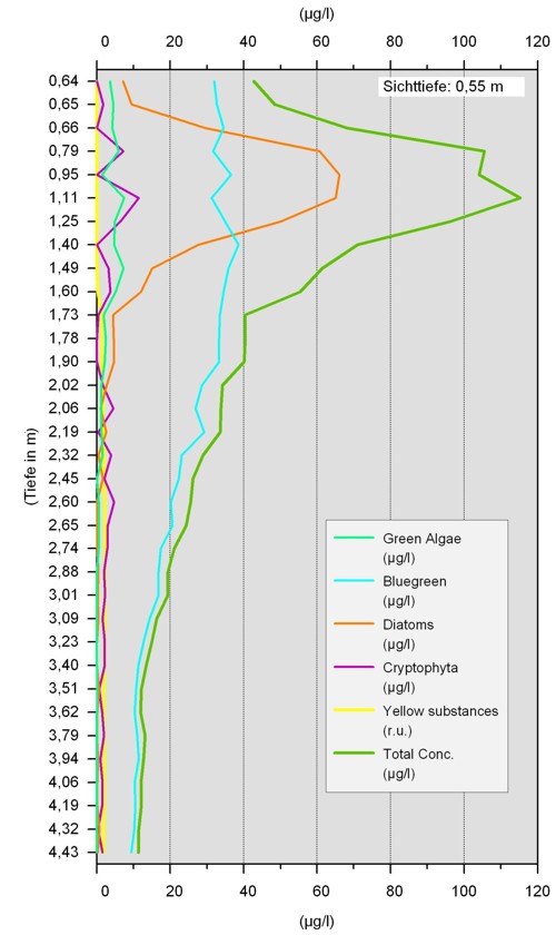 Tiefenprofil (Chl a) mit Algenklassendifferenzierung